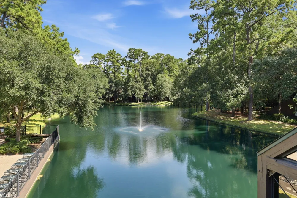 119 Litchfield Lane Houston, TX 77024