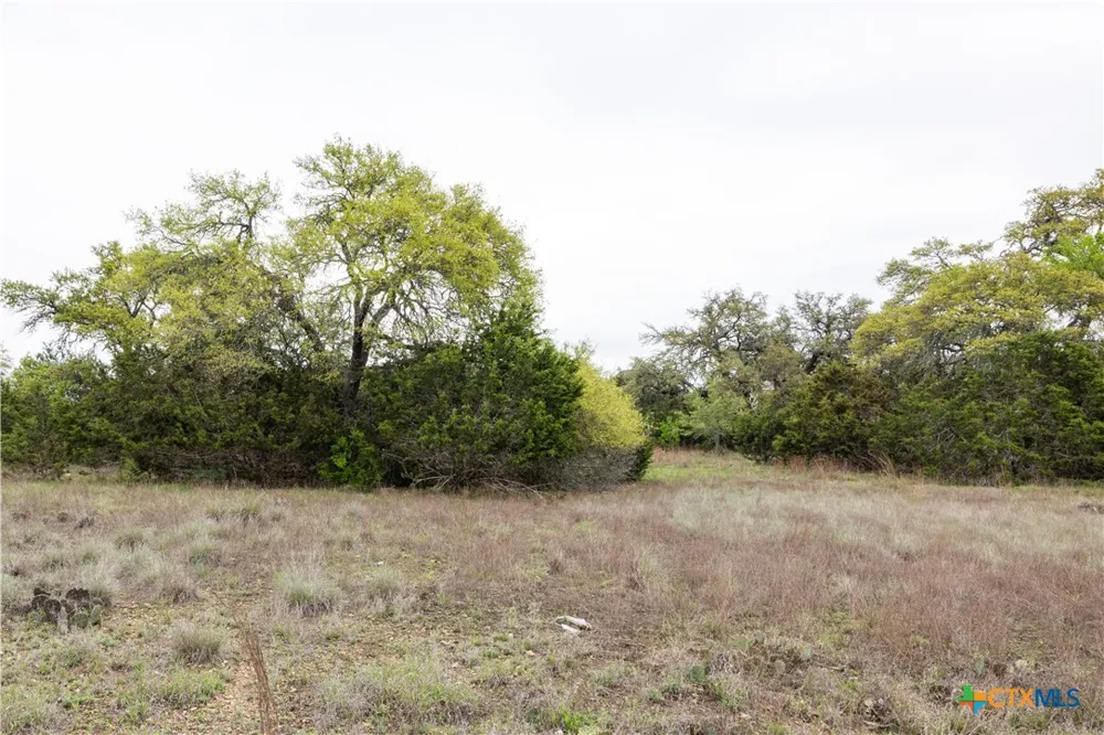 Logan's Way Blanco, TX 78606