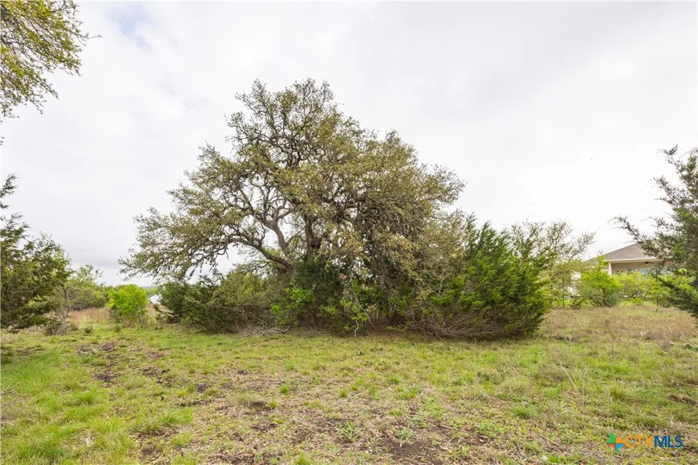 Logan's Way Blanco, TX 78606