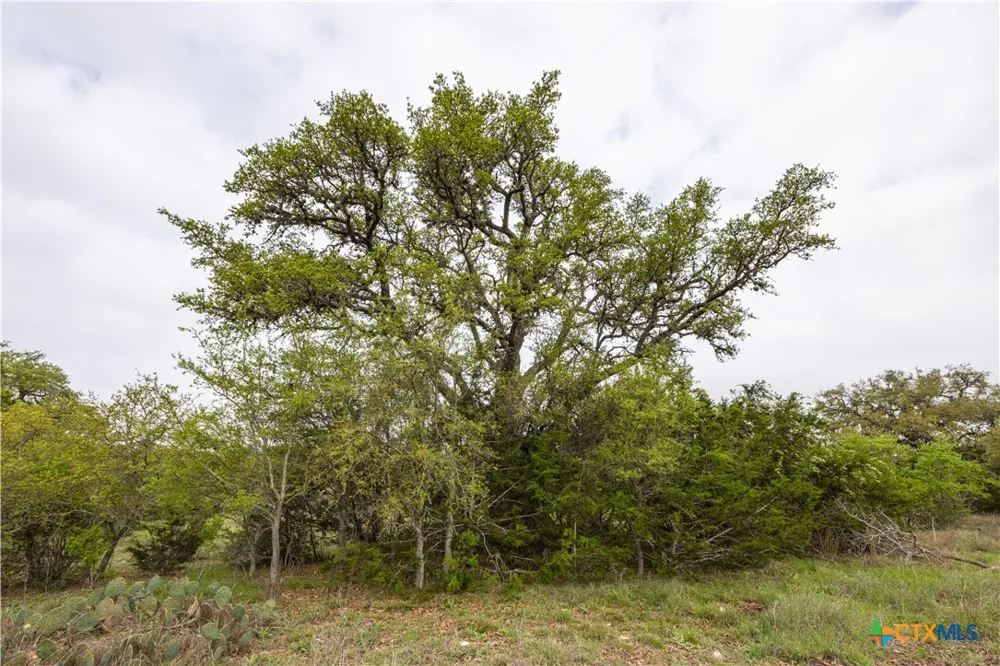 Logan's Way Blanco, TX 78606