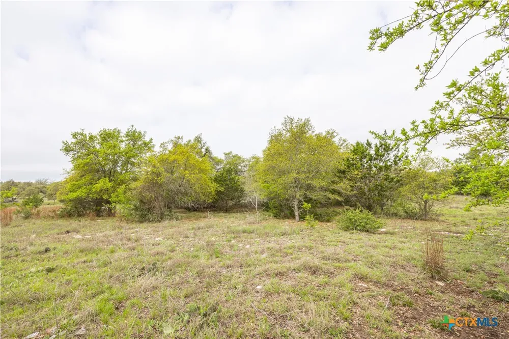 Logan's Way Blanco, TX 78606