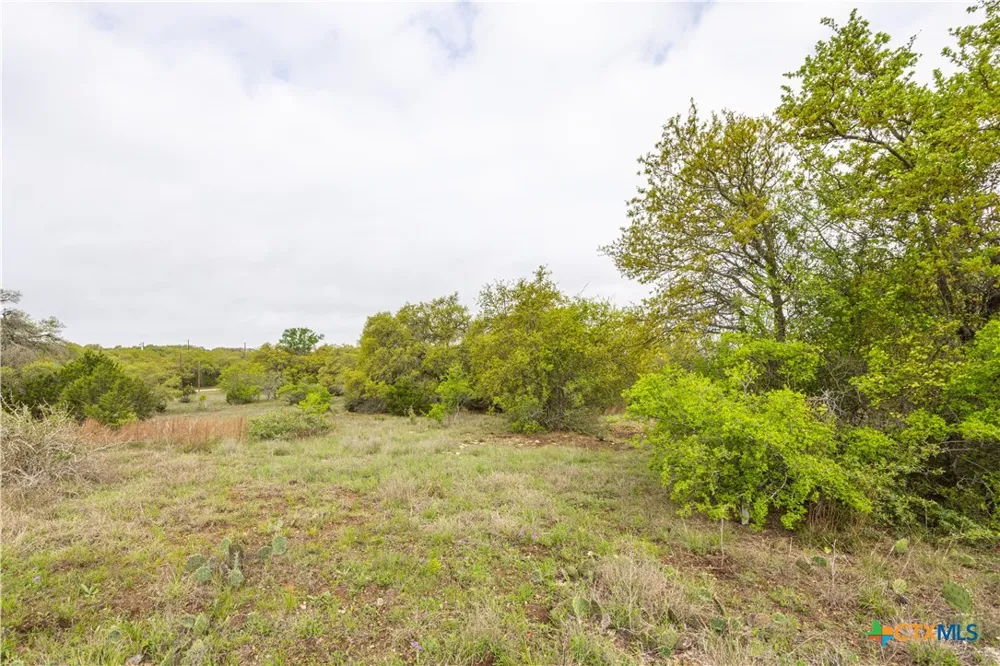Logan's Way Blanco, TX 78606