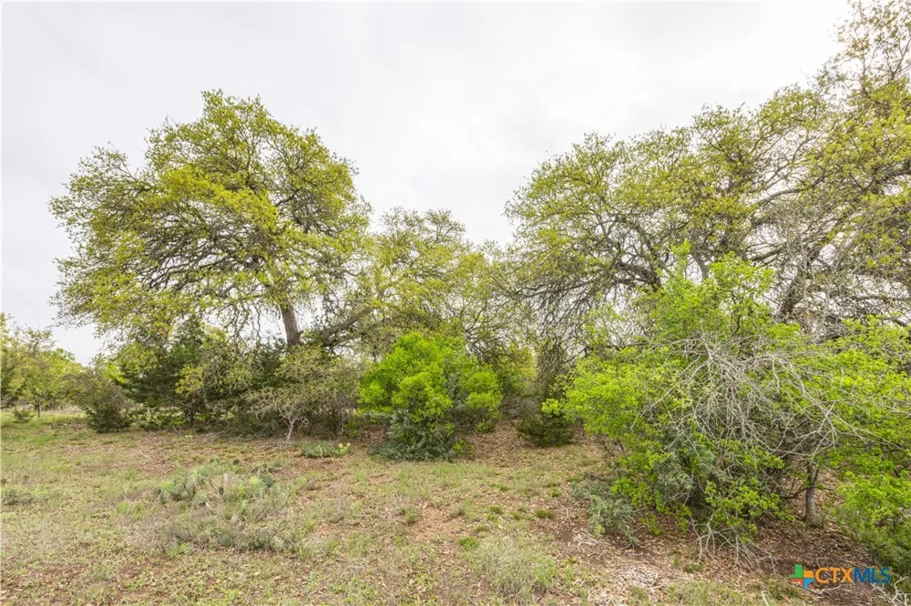 Logan's Way Blanco, TX 78606
