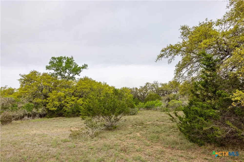 Logan's Way Blanco, TX 78606