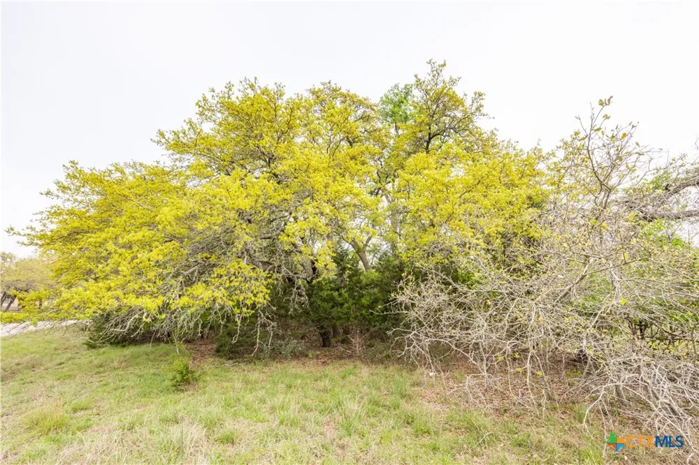 Logan's Way Blanco, TX 78606