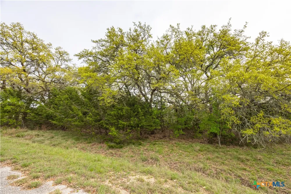 Logan's Way Blanco, TX 78606
