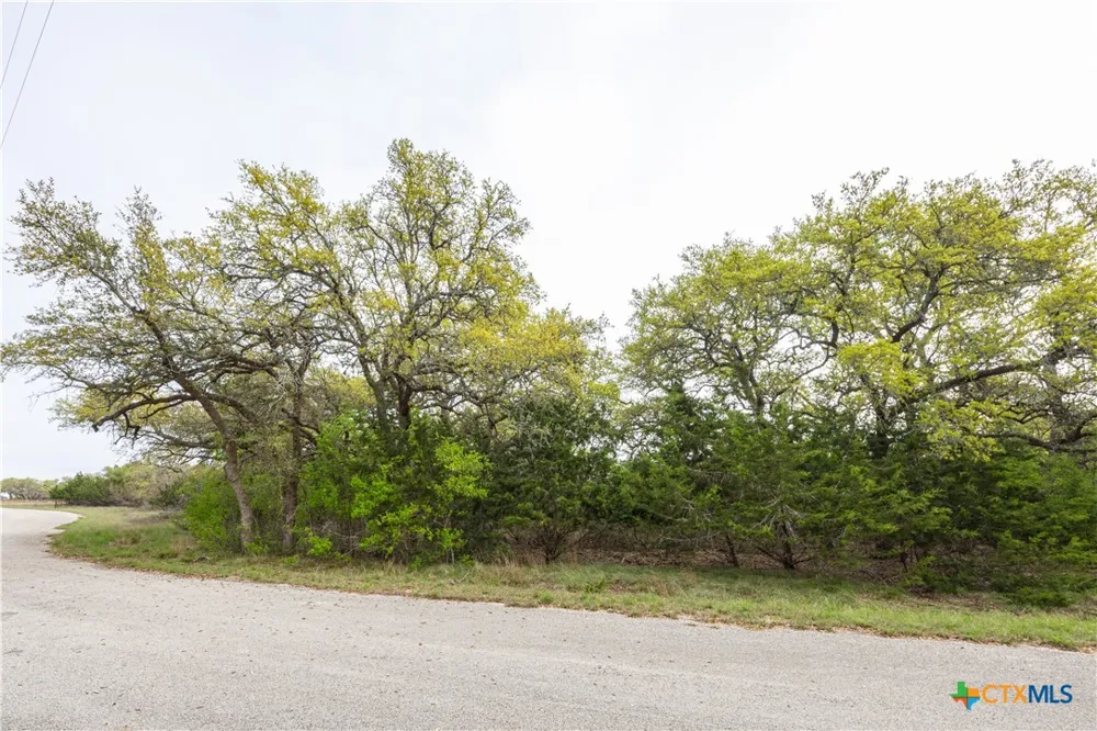 Logan's Way Blanco, TX 78606