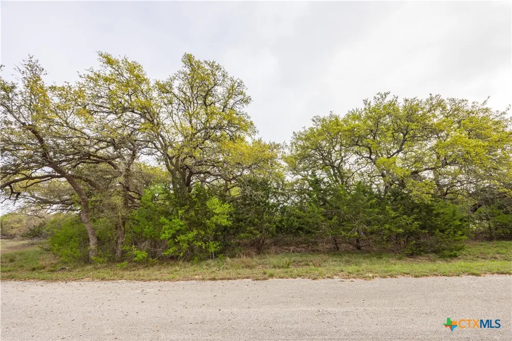 Logan's Way Blanco, TX 78606