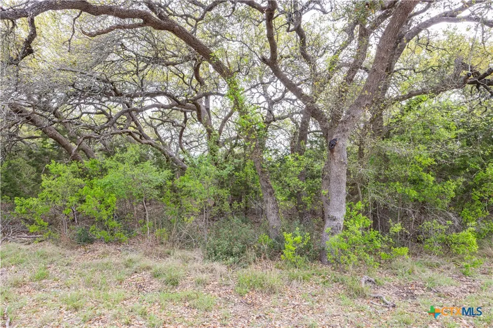 Logan's Way Blanco, TX 78606