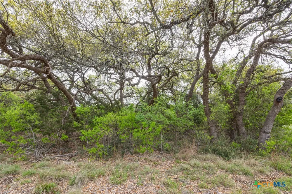 Logan's Way Blanco, TX 78606