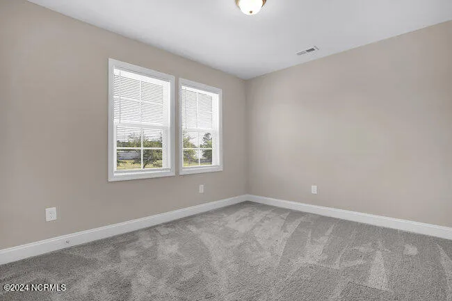 161 Everett Yopp Drive Sneads Ferry, NC 28460