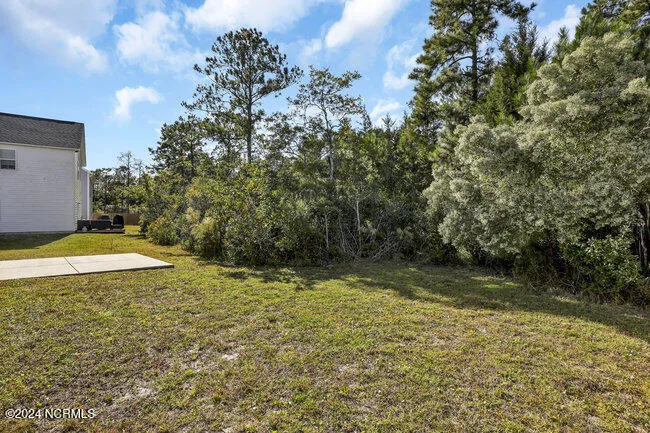 161 Everett Yopp Drive Sneads Ferry, NC 28460