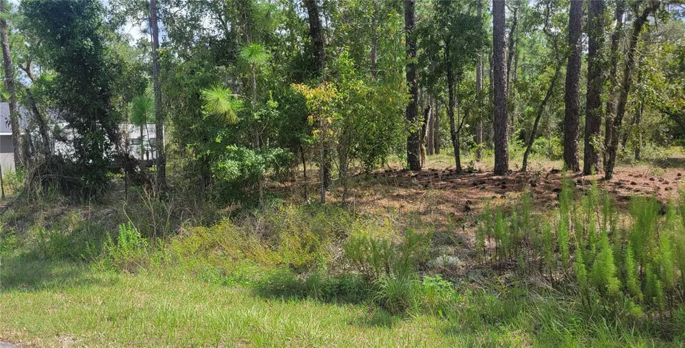 0 NW HILLSDALE AVENUE Dunnellon, FL 34431