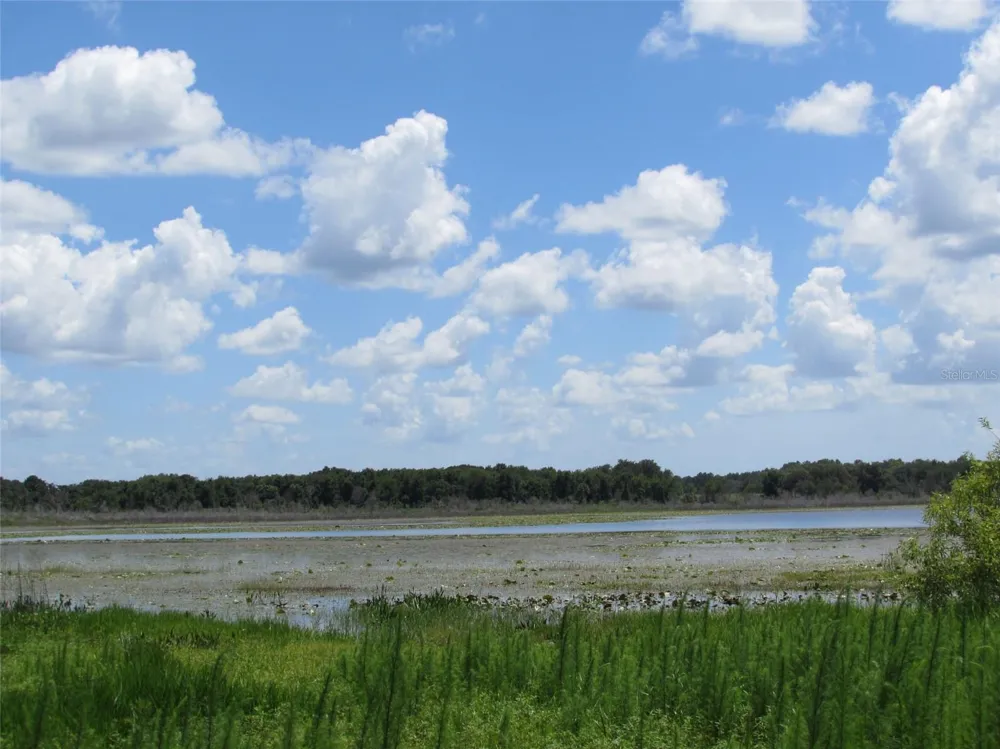 0 NW HILLSDALE AVENUE Dunnellon, FL 34431