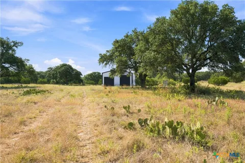 703 Blackbuck Ridge Drive