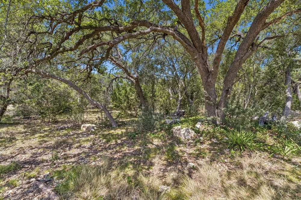 854 Maximino Ridge Road Bulverde, TX 78163