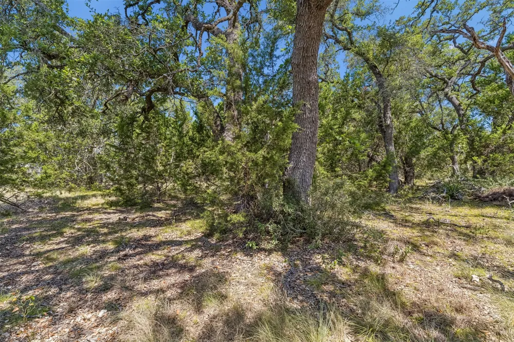 854 Maximino Ridge Road Bulverde, TX 78163
