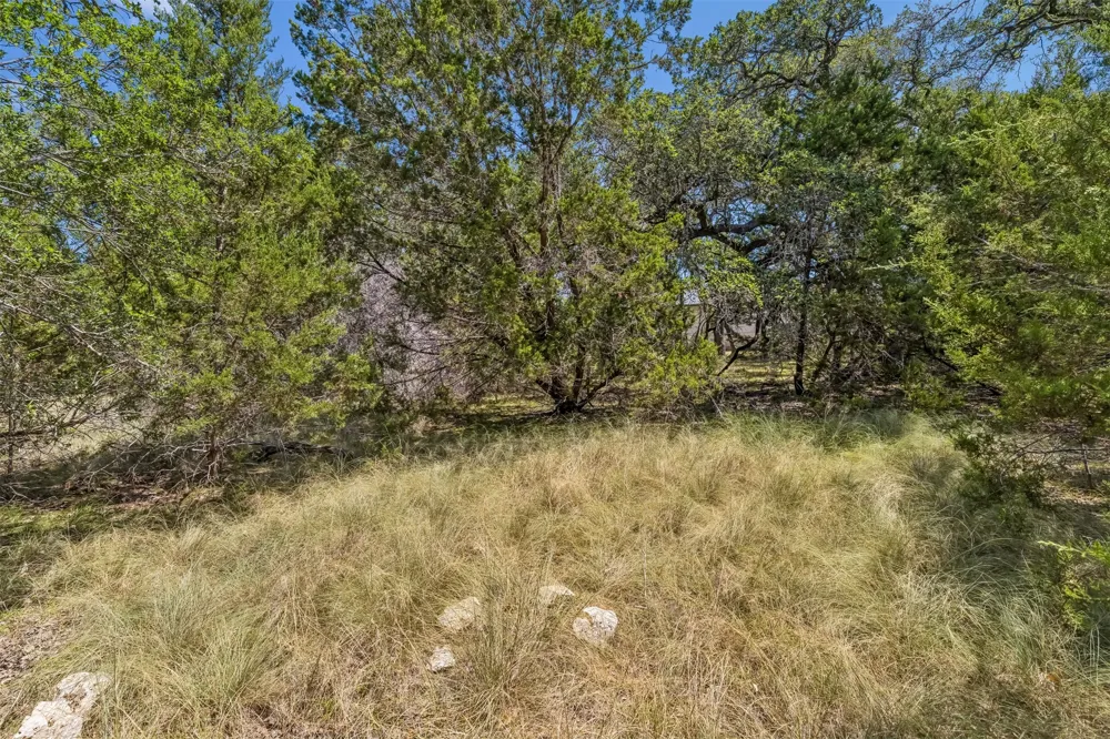 854 Maximino Ridge Road Bulverde, TX 78163