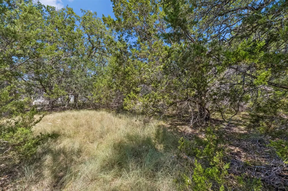 854 Maximino Ridge Road Bulverde, TX 78163