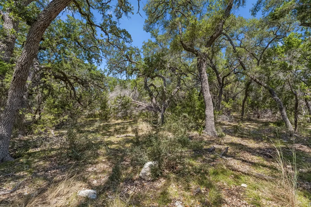 854 Maximino Ridge Road Bulverde, TX 78163