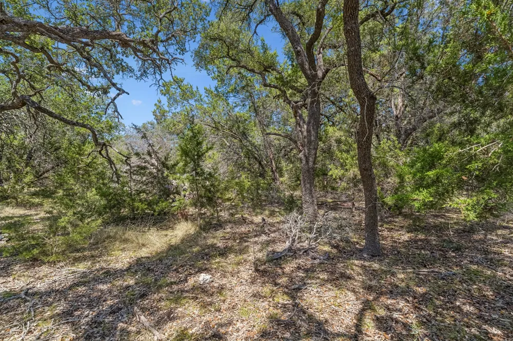 854 Maximino Ridge Road Bulverde, TX 78163