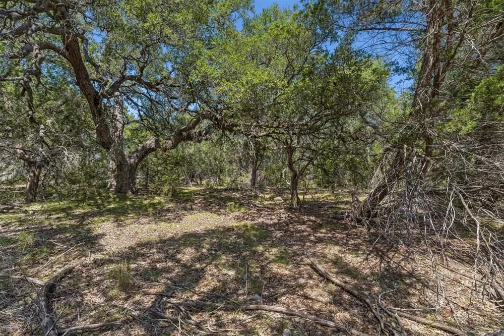 854 Maximino Ridge Road Bulverde, TX 78163