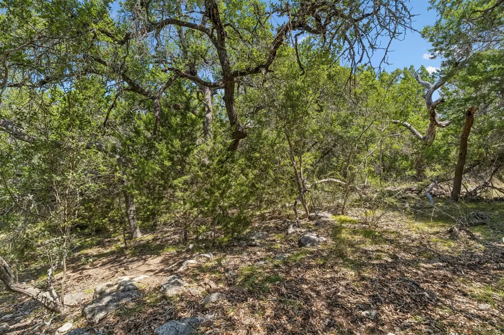 854 Maximino Ridge Road Bulverde, TX 78163