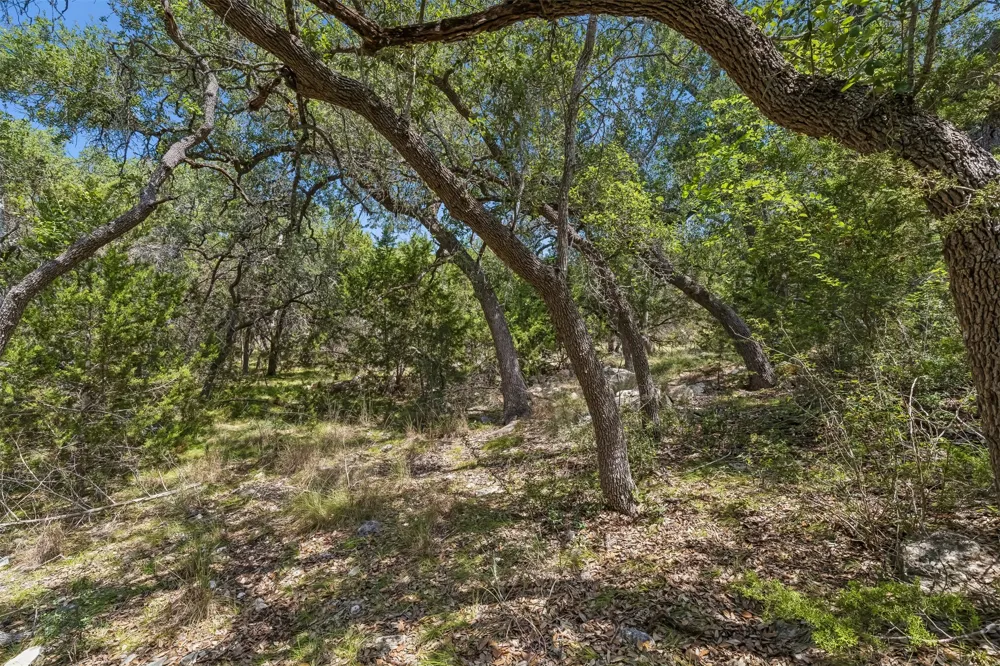 854 Maximino Ridge Road Bulverde, TX 78163