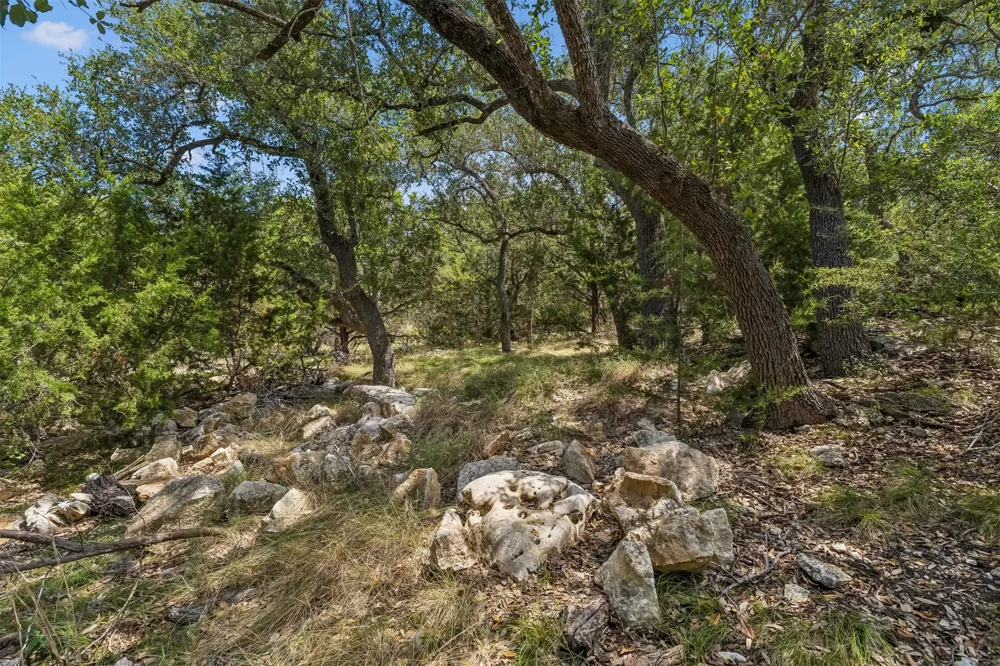 854 Maximino Ridge Road Bulverde, TX 78163