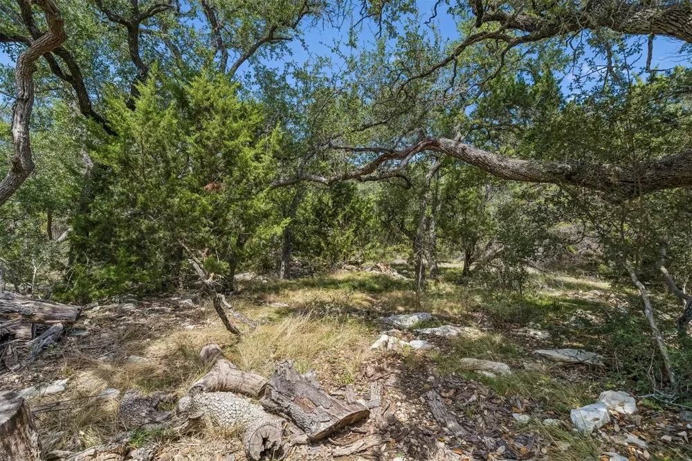 854 Maximino Ridge Road Bulverde, TX 78163
