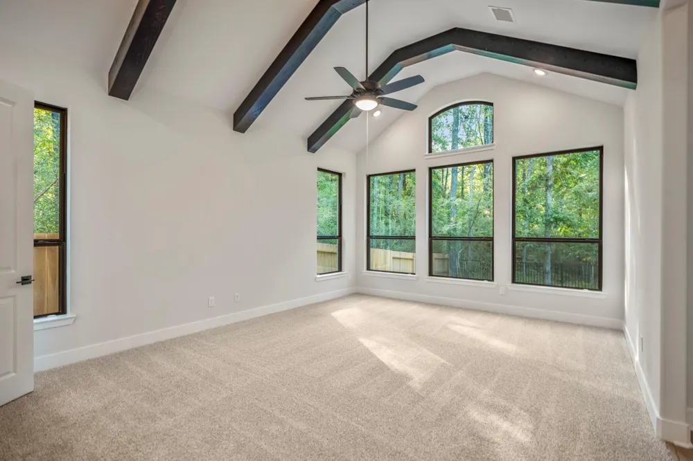 209 Lilac Tree Court Willis, TX 77318