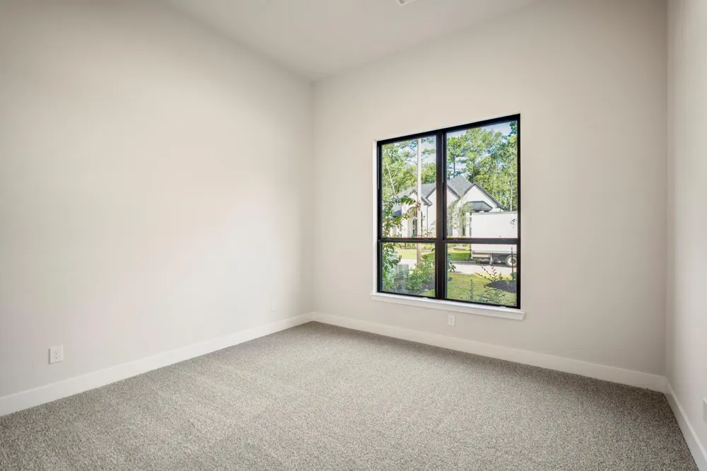 209 Lilac Tree Court Willis, TX 77318
