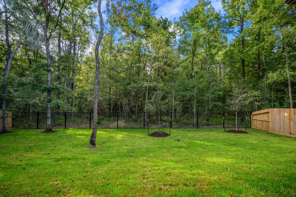 209 Lilac Tree Court Willis, TX 77318