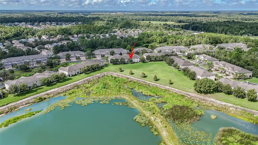 26945 JUNIPER BAY DRIVE Wesley Chapel, FL 33544