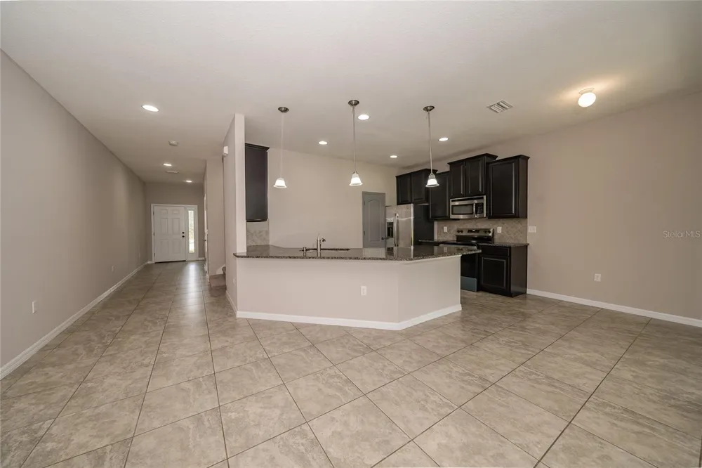 26945 JUNIPER BAY DRIVE Wesley Chapel, FL 33544