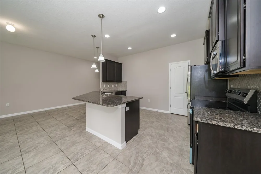 26945 JUNIPER BAY DRIVE Wesley Chapel, FL 33544