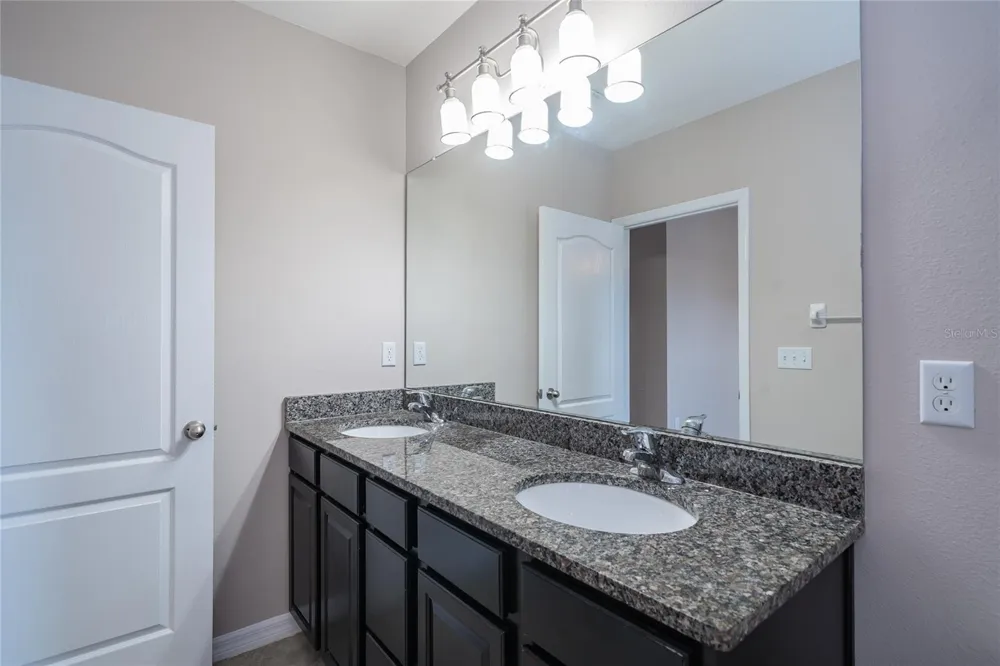 26945 JUNIPER BAY DRIVE Wesley Chapel, FL 33544