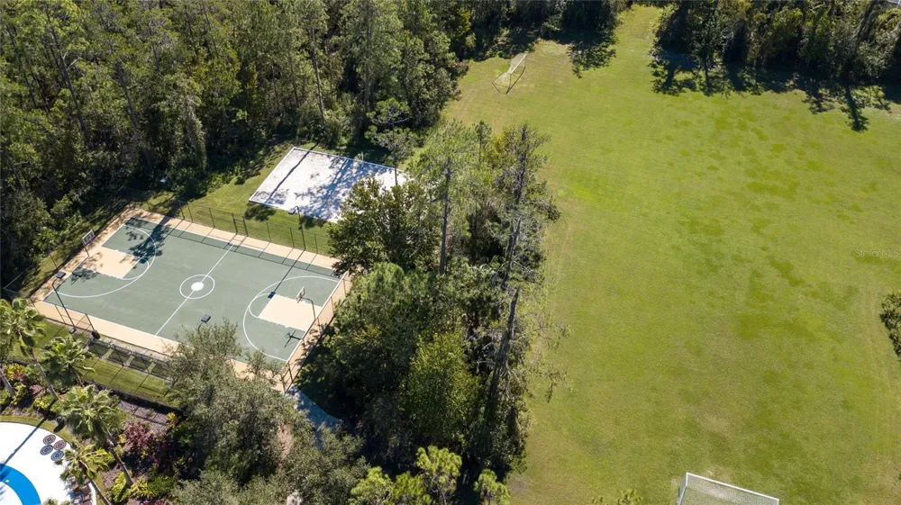 26945 JUNIPER BAY DRIVE Wesley Chapel, FL 33544