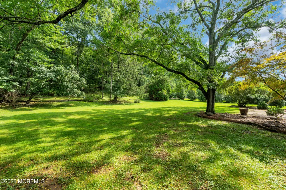 31 Valley Forge Drive Whippany, NJ 07981