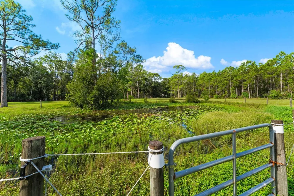 2131 W POINSETTIA DRIVE Port Orange, FL 32128