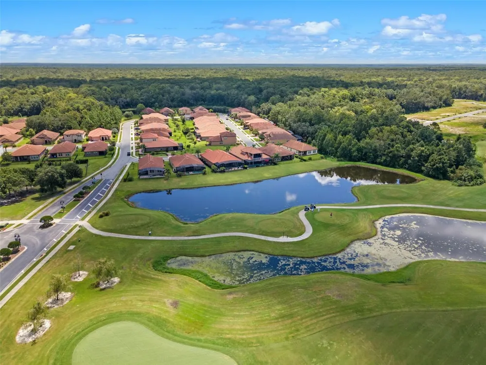 310 BRUNSWICK DRIVE Davenport, FL 33837
