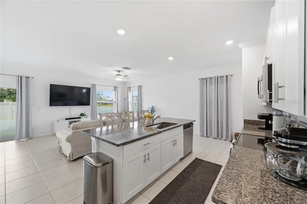 9735 ASHWORTH PLACE Land O Lakes, FL 34637