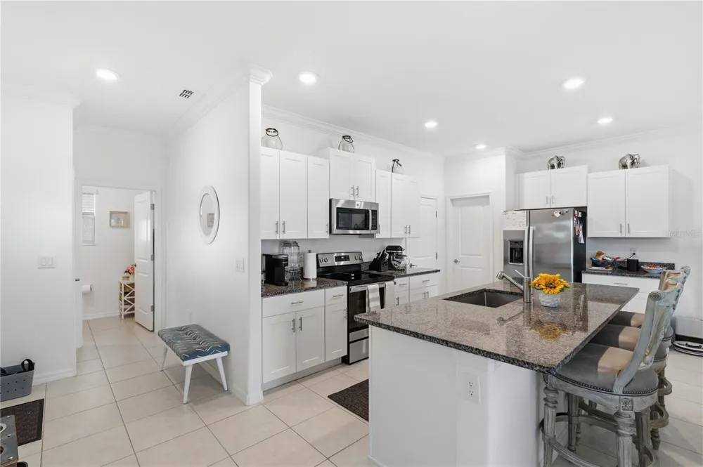 9735 ASHWORTH PLACE Land O Lakes, FL 34637