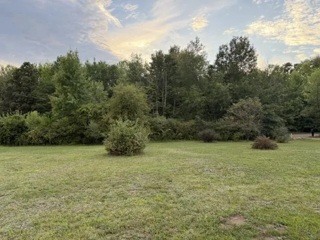 16380 Ritchie Avenue NE Nelson Township, MI 49343
