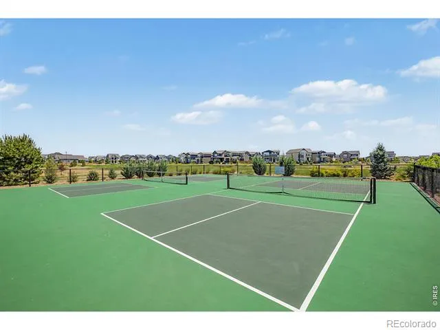 5974 Rendezvous Parkway Timnath, CO 80547