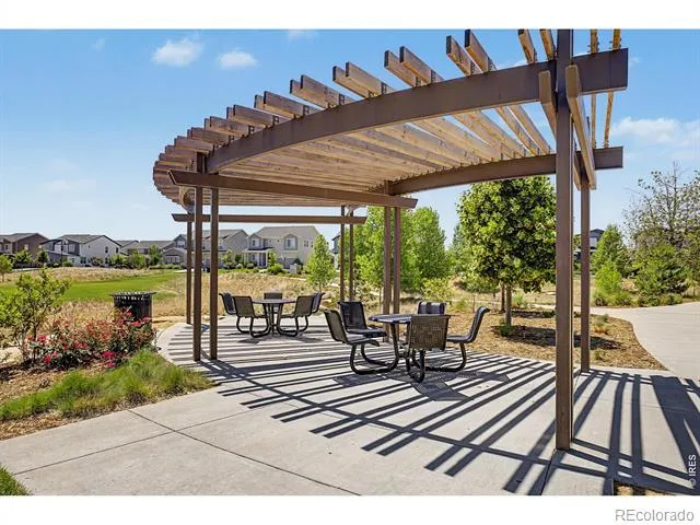 5974 Rendezvous Parkway Timnath, CO 80547