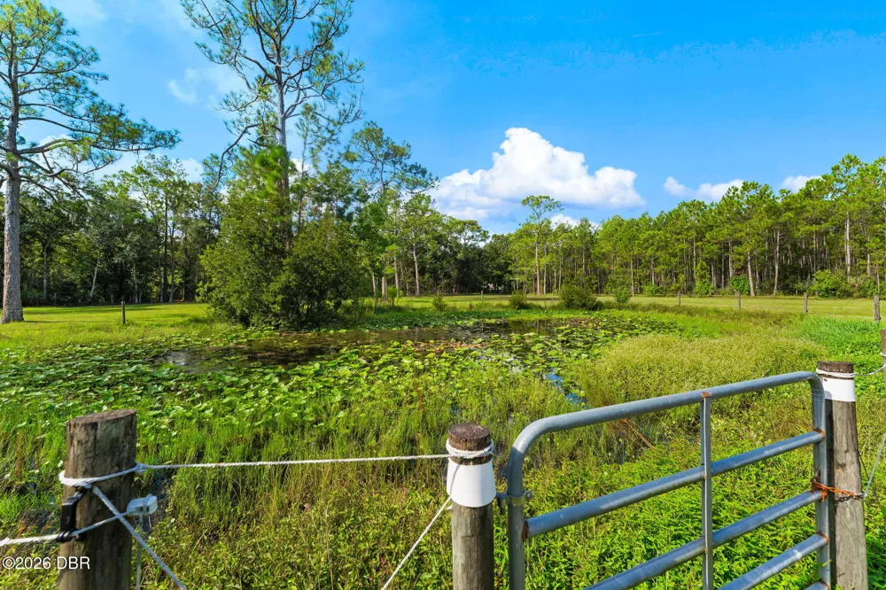 2131 W Poinsettia Drive Port Orange, FL 32128