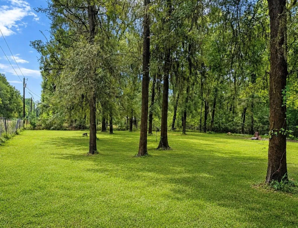 1300 Janning Street Coldspring, TX 77331