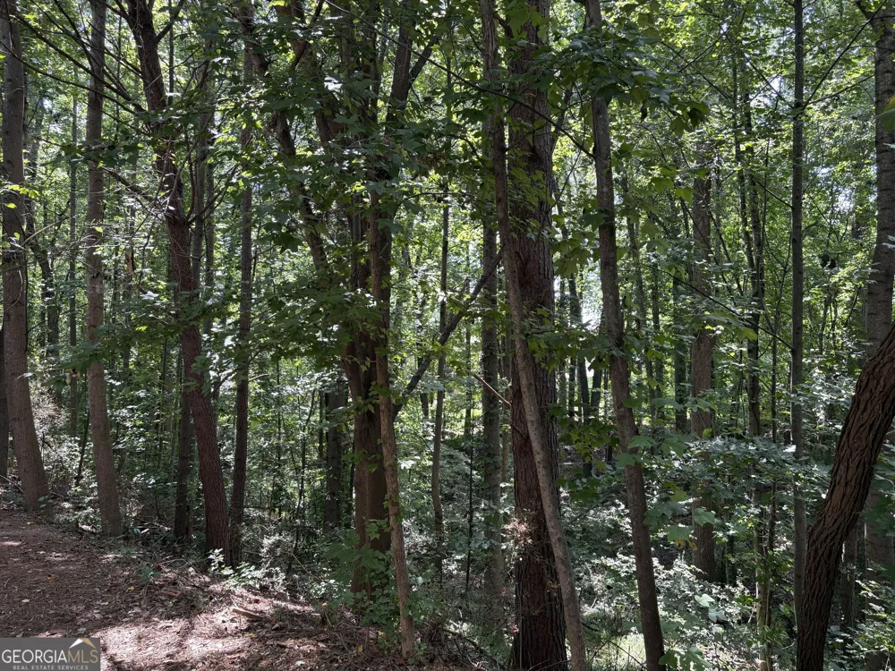 4601 Logan WAY Acworth, GA 30101