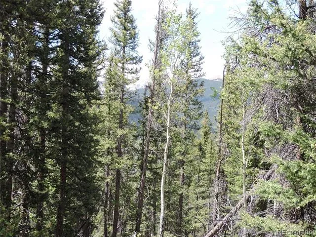 00 Georgia Pass Lookout Jefferson, CO 80456